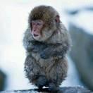 lxp重名了的个人资料头像