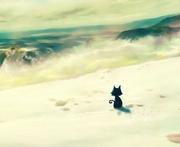 LDCat的个人资料头像