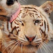 用户6921732700918的个人资料头像