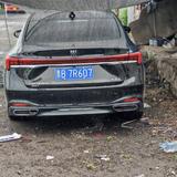 热情小羊WsX头像