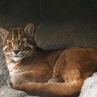 似水流年如烟往事头像