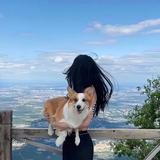 红玫瑰🌹头像