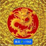 腾龙1968头像