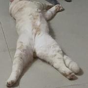 天天中奖的个人资料头像