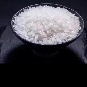 番茄396301556260467头像
