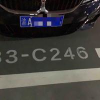 小马的黄司机头像