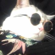 Albert635的个人资料头像