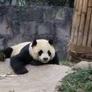 lbc1234的个人资料头像