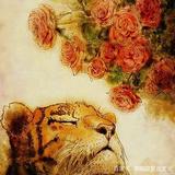 猥琐发育别浪头像