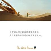 Wpthypatia的个人资料头像