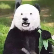 LIEEIL的个人资料头像