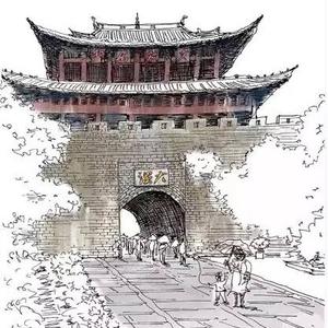 大理人大理事头像
