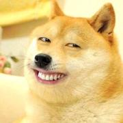 Buddy1491559114611的个人资料头像