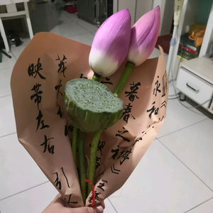 邻家大姐有话说头像