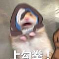 亮亮亮小亮头像