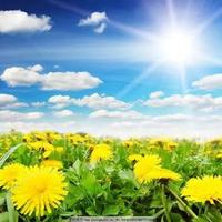 德才兼备铅笔vr8头像