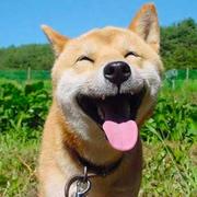 江海281的个人资料头像