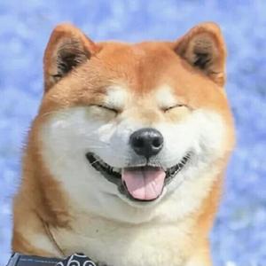 成说历史课头像