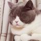 猛猪饲养员 · 红旗HS5车主·车龄3年头像
