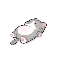 快乐黑利4z5头像