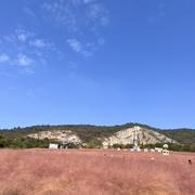 发财小柚子的个人资料头像