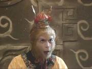 xjmi的个人资料头像