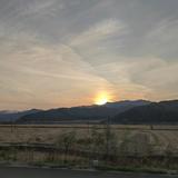 自由星辰RAs头像