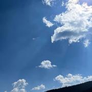 每天要喝水的个人资料头像