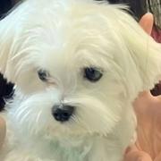 十七725的个人资料头像