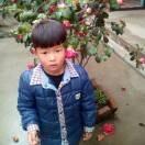 一口一个小安折201头像