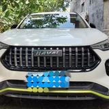 济南黄金兔车手头像