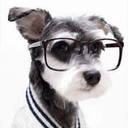 拯救地球好累的个人资料头像