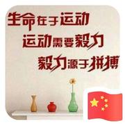 新陈待见的个人资料头像