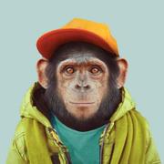 ShuhuasVersion的个人资料头像