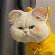 黄丁香园长的个人资料头像