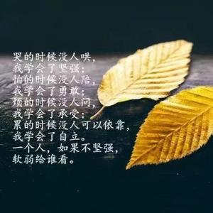 石磨全麦面头像