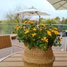 React同学的个人资料头像