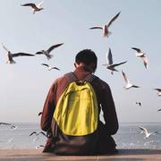 本无道的个人资料头像