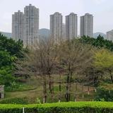 阳仔走天下5y2c头像