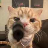 天天的天丶头像