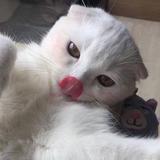 用户5648862045155头像