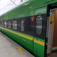 勇敢的正义狮头像