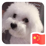 蜗牛的速度225头像