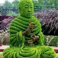 无忧的辰星Im头像