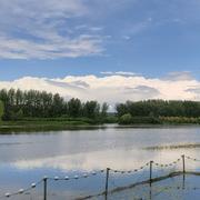 cca的个人资料头像