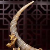 运筹帷幄我的是大傻子头像