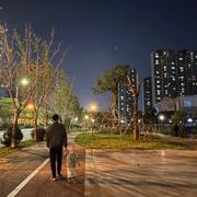 摸鱼专家123的个人资料头像