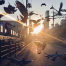 日落即逝的个人资料头像