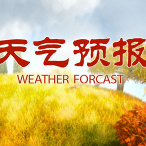 小七说天气头像