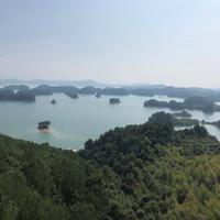 人马座155头像